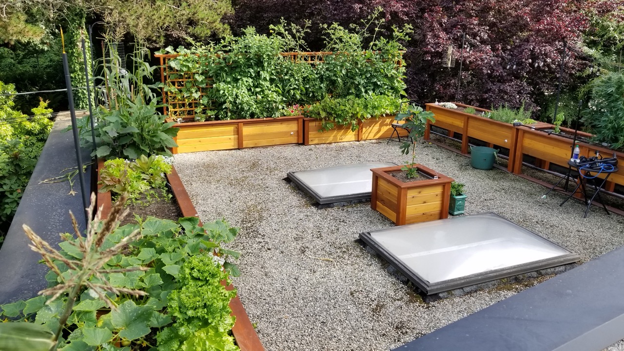 Life space gardens self-watering garden beds