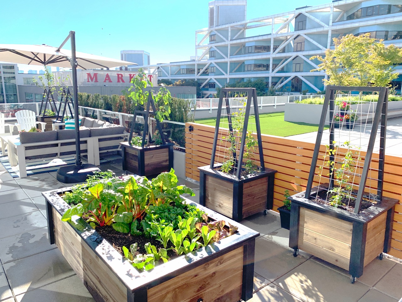 Life Space Gardens Self Watering Garden Beds