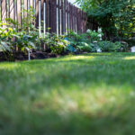 Lawn Care