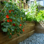 Garden Maintenance